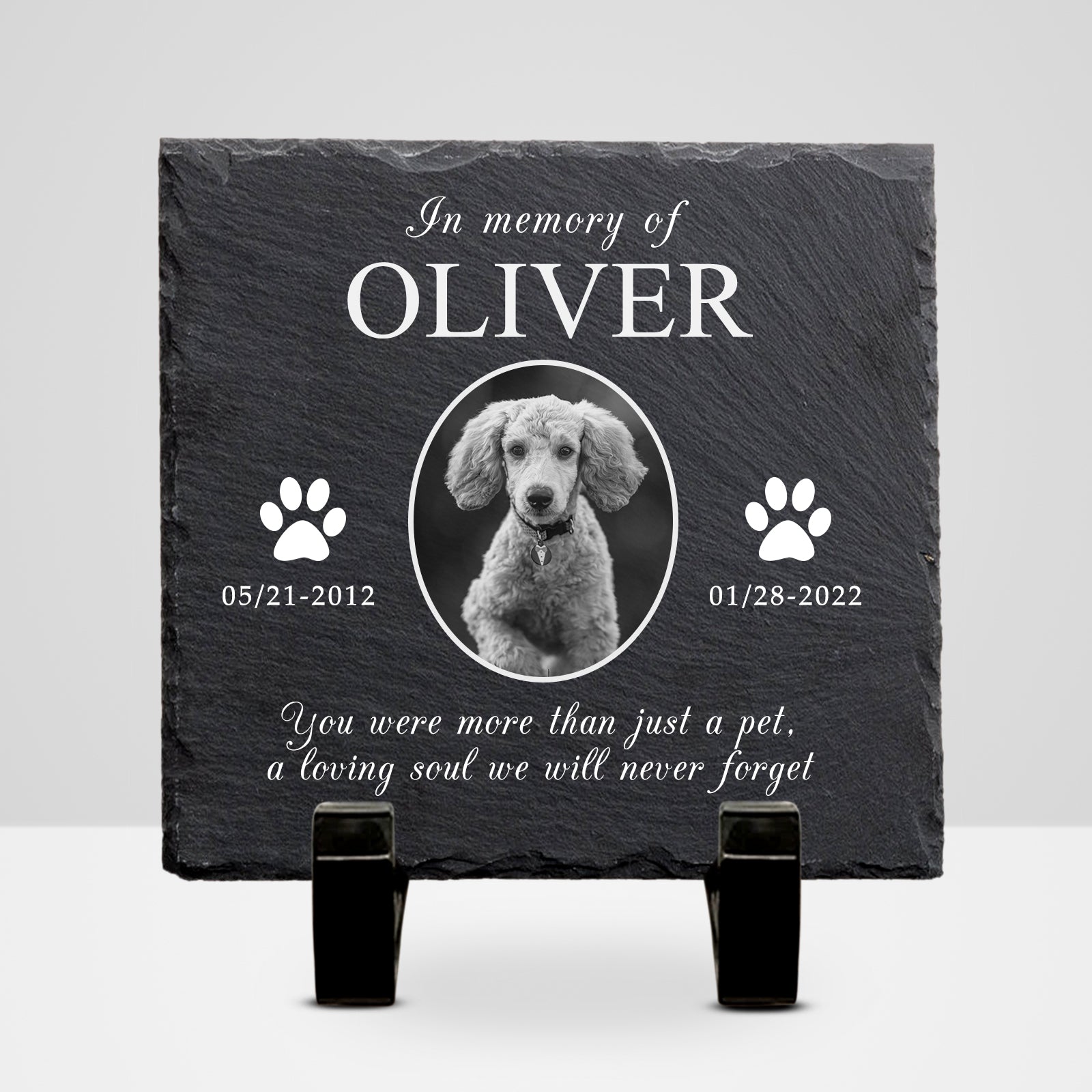 Custom Pet Remembrance Plaque with Photo For Deceased Dogs/Cats - OARSE