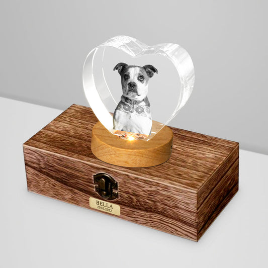 Custom Pet Urn Set with 3D Crystal Personalized Dog & Cat Urns for Ashes - OARSE
