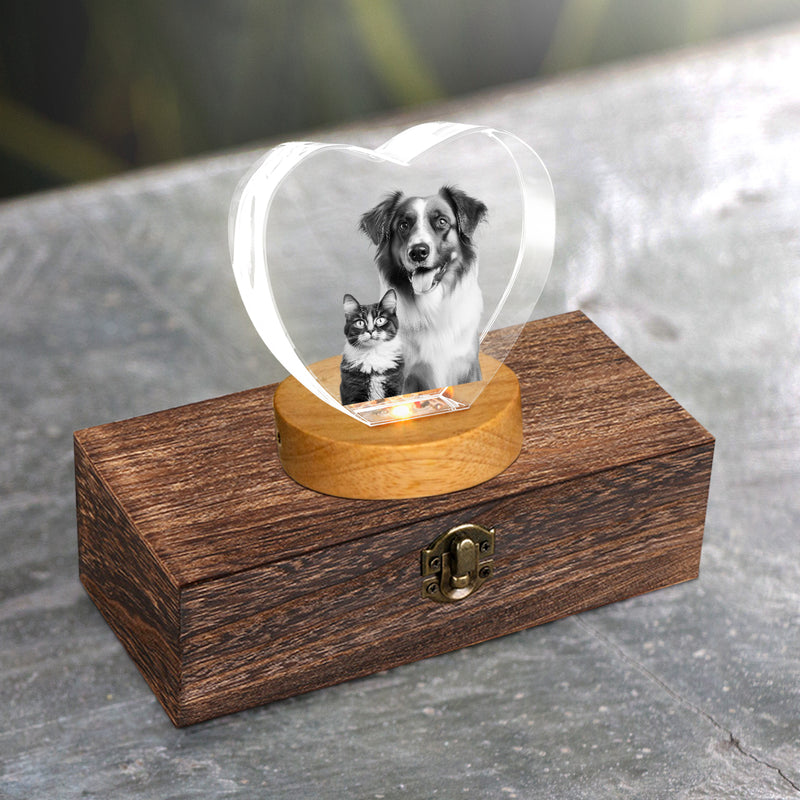 Custom Pet Urn Set with 3D Crystal Personalized Dog & Cat Urns for Ashes - OARSE