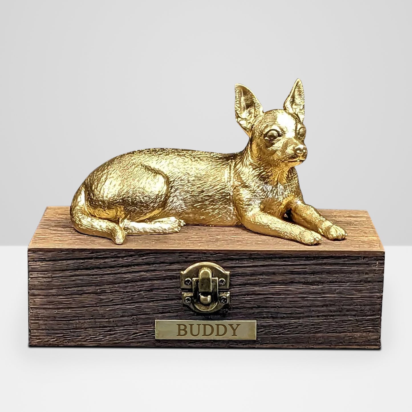 Custom Chihuahua  Ashes Boxes Engraved with Name Plate for Urn - OARSE