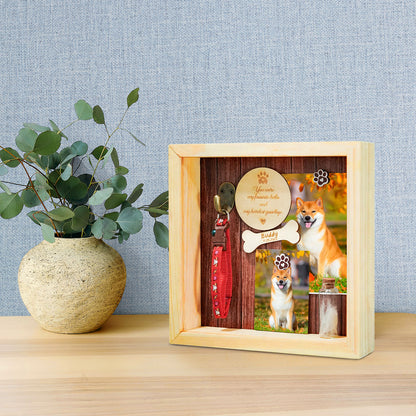 Custom Pet Memorial Shadow Box Frame with Name for Dog Memories - OARSE