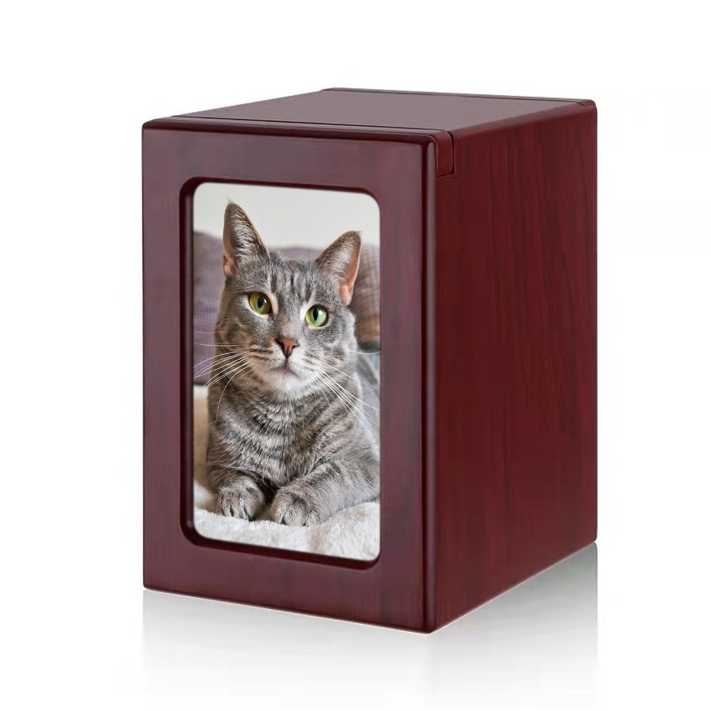 Custom Pet Memorial Urn Box with Photo for Ashes Personalized  Dog Cremation Keepsake - OARSE