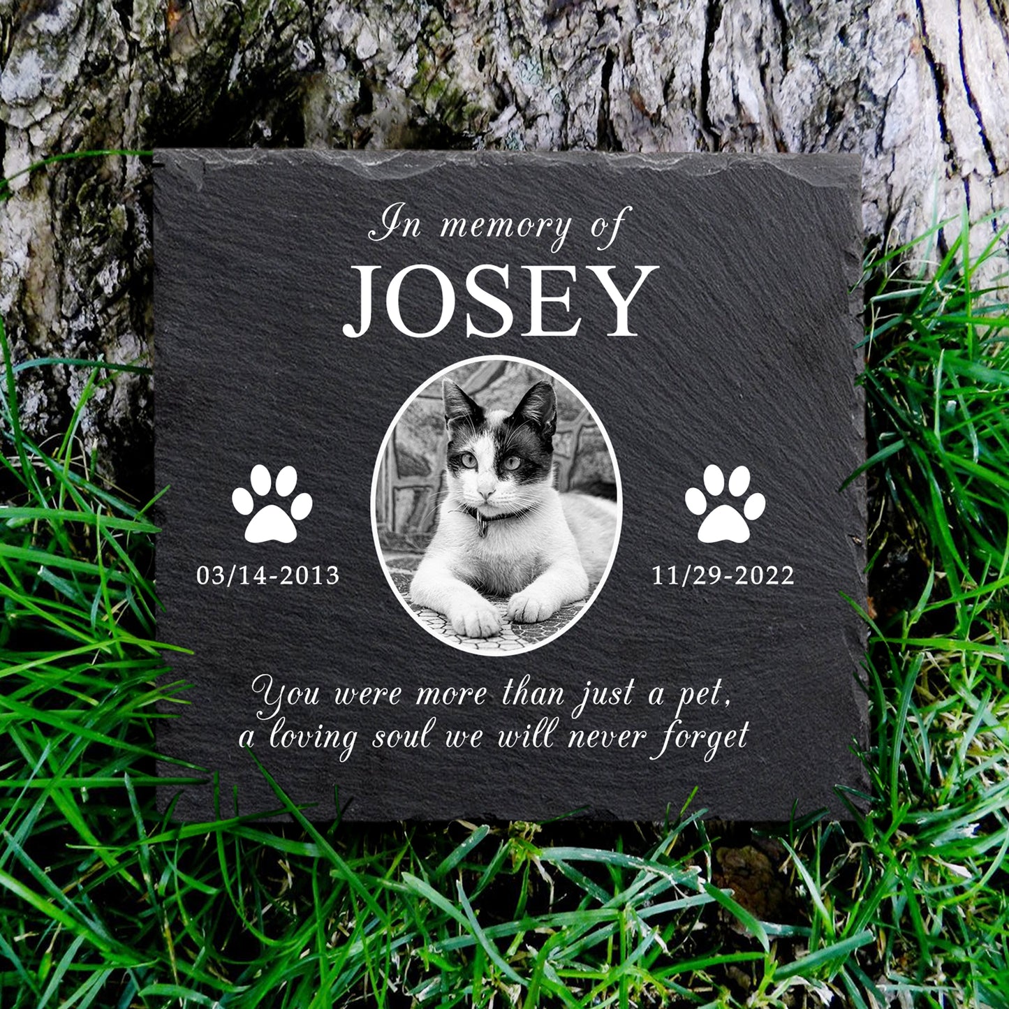Custom Pet Remembrance Plaque with Photo For Deceased Dogs/Cats - OARSE