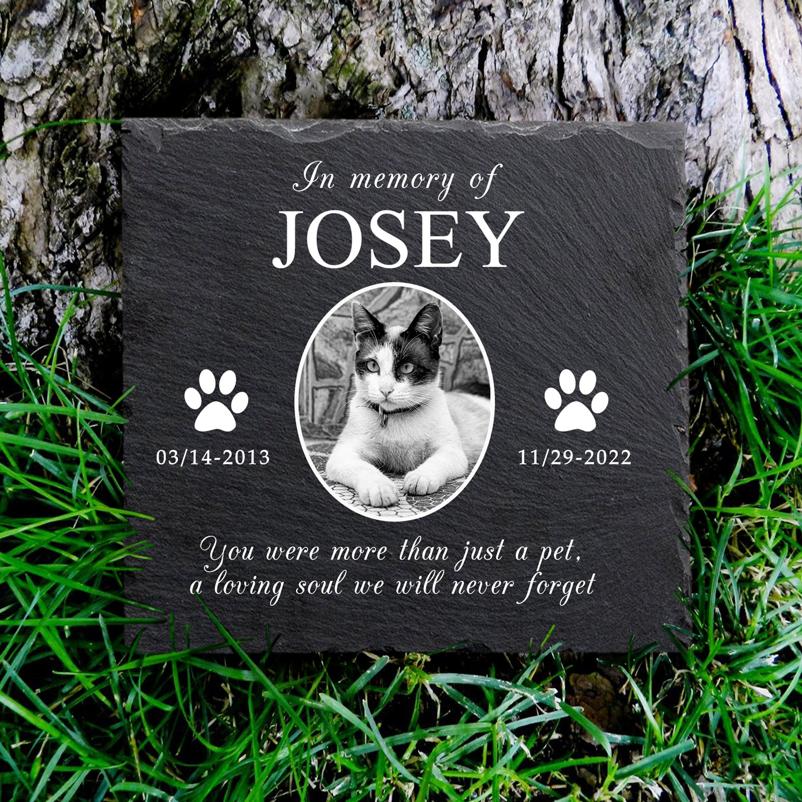 Custom Pet Remembrance Plaque with Photo For Deceased Dogs/Cats - OARSE