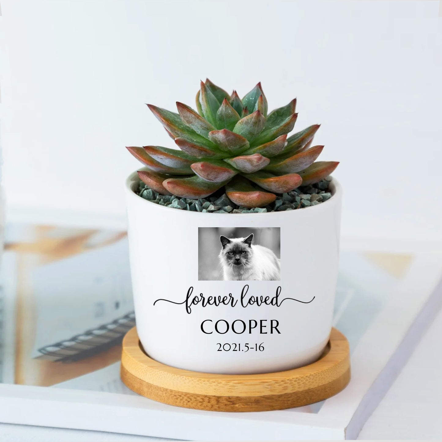 Custom Photo Flower Pot Personalized Dog Photo Urn Planters for Pet Memorial Gift - OARSE