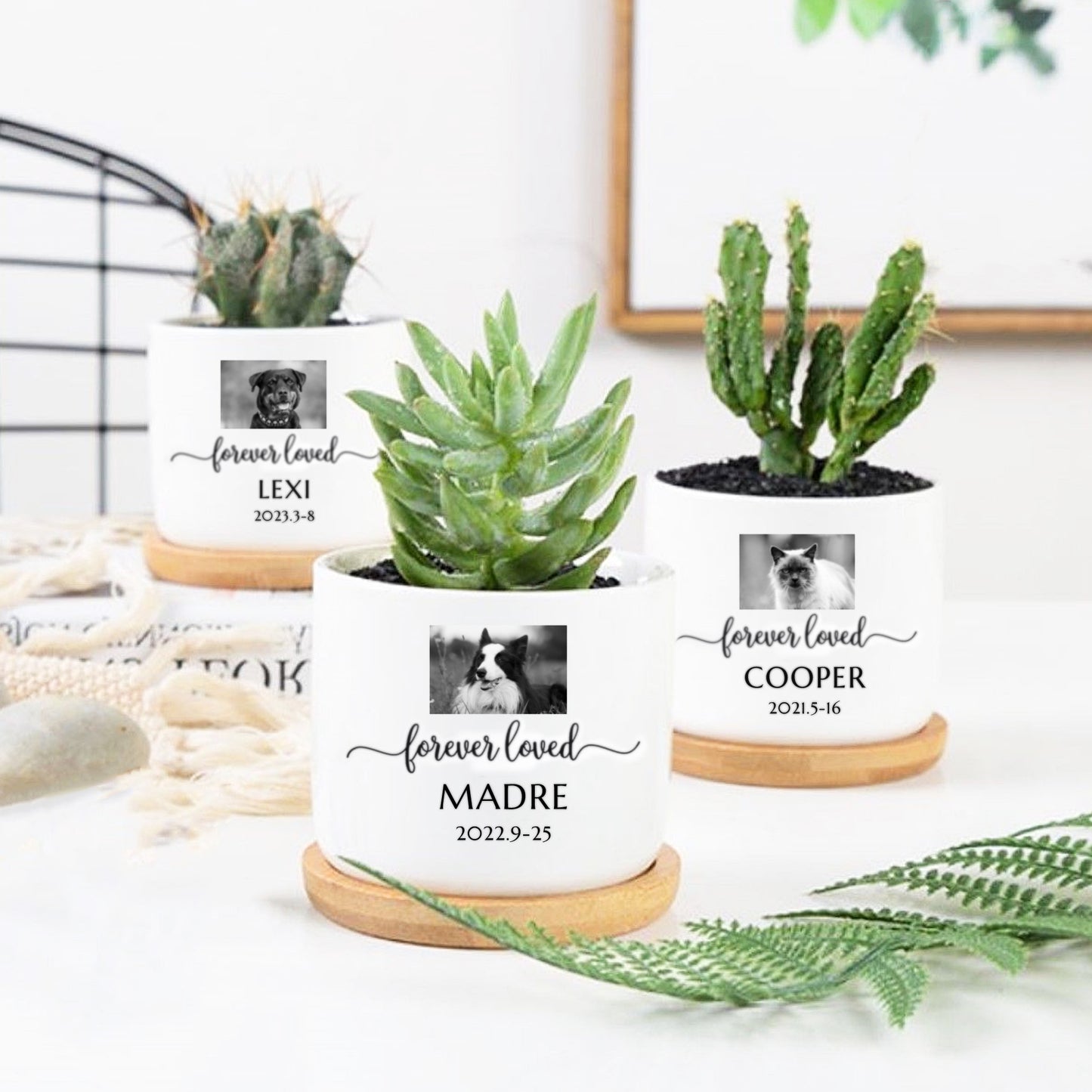 Custom Photo Flower Pot Personalized Dog Photo Urn Planters for Pet Memorial Gift - OARSE