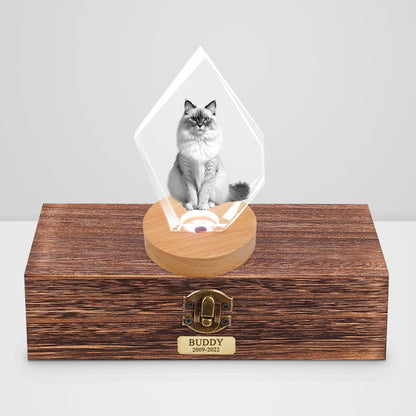 Customized Pet Ashes Urn Box with 3d Photo Crystal for Dog Memorial Gift - OARSE