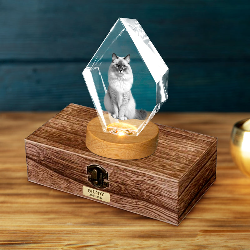 Customized Pet Ashes Urn Box with 3d Photo Crystal for Dog Memorial Gift - OARSE