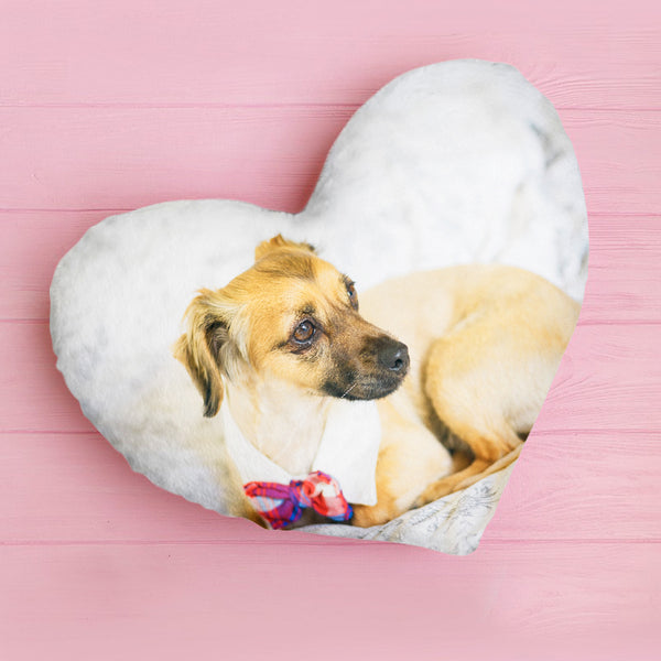 Customized Pet Heart Shaped Throw Pillow with Pet Portrait - OARSE
