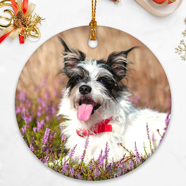 Custom Christmas Ornaments with Photo Personalized Tree Decaration - OARSE