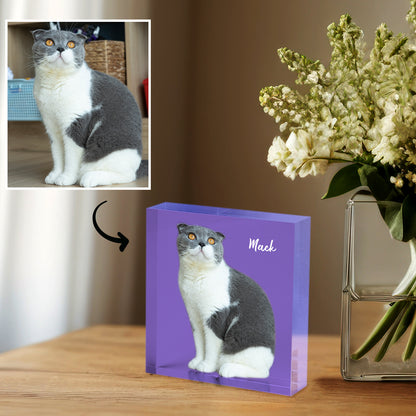 Personalized Pet 3d Acrylic Photo Block - OARSE