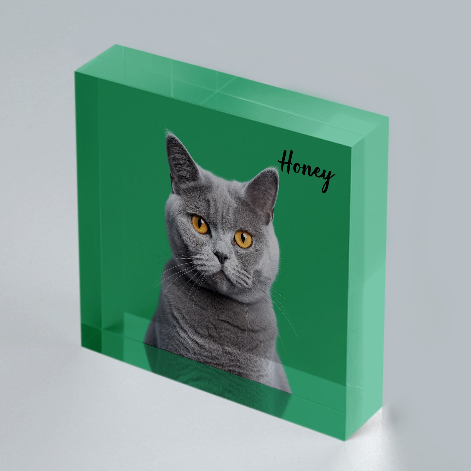 Personalized Pet 3d Acrylic Photo Block - OARSE
