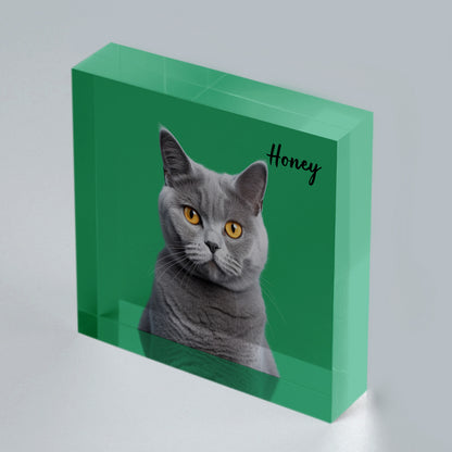 Personalized Pet 3d Acrylic Photo Block - OARSE