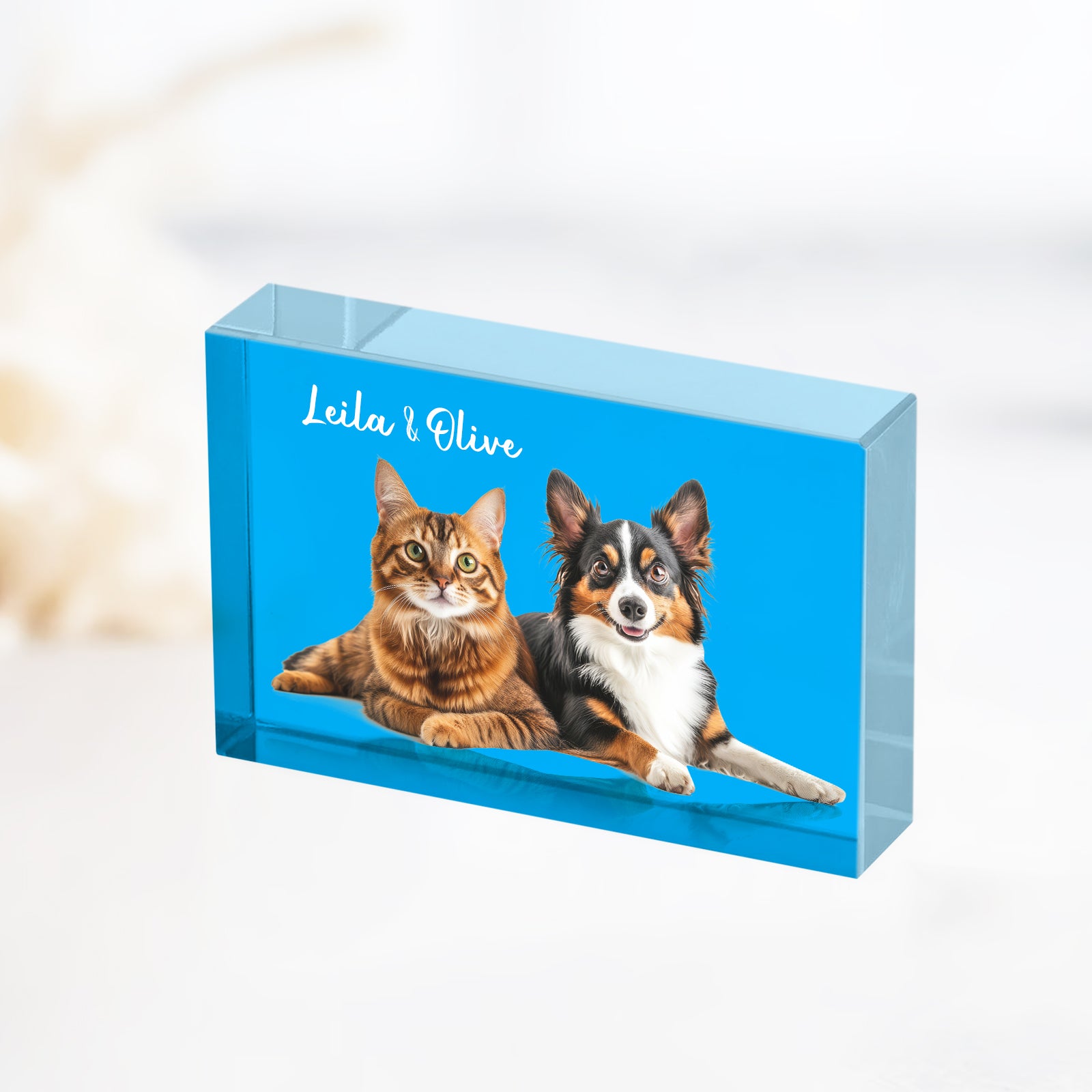 Personalized Pet 3d Acrylic Photo Block - OARSE