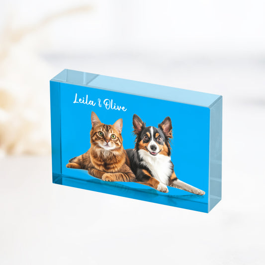 Personalized Pet 3d Acrylic Photo Block - OARSE