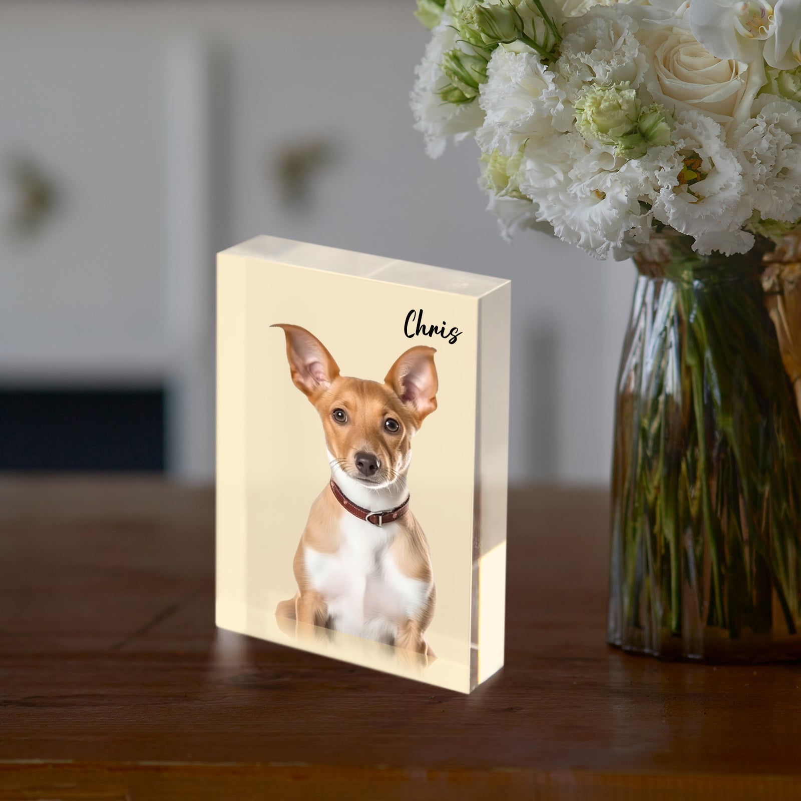 Personalized Pet 3d Acrylic Photo Block - OARSE