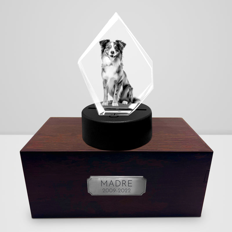 Personalized Pet Cremation Urn Set with 3D Crystal Photo for Dog Keepsakes - OARSE