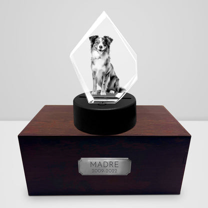 Personalized Pet Cremation Urn Set with 3D Crystal Photo for Dog Keepsakes - OARSE