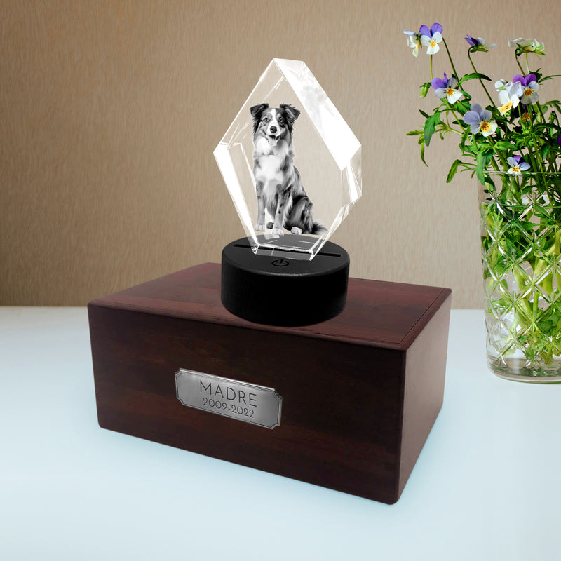 Personalized Pet Cremation Urn Set with 3D Crystal Photo for Dog Keepsakes - OARSE