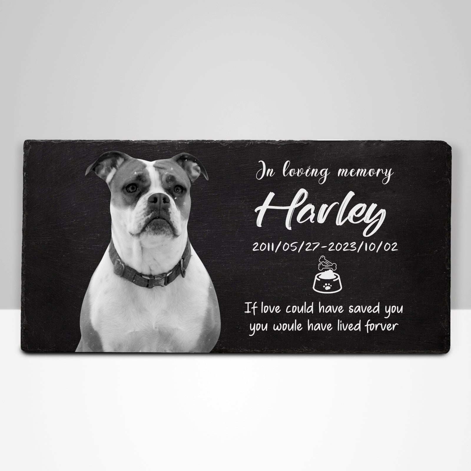 Personalized Pet Memorial Garden Stones with Photo for Dogs - OARSE