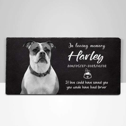 Personalized Pet Memorial Garden Stones with Photo for Dogs - OARSE