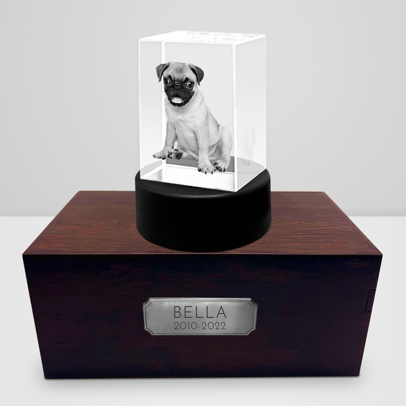 Personalized Pet Memorial Keepsake Cremation Urn with 3D Photo Crystal for Dogs & Cats - OARSE
