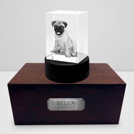 Personalized Pet Memorial Keepsake Cremation Urn with 3D Photo Crystal for Dogs & Cats - OARSE