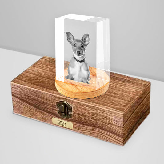 Personalized Pet Memorial Urn with Cube Crystal for Pet Loss - OARSE