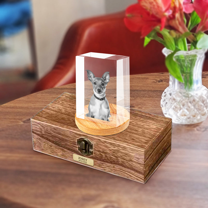 Personalized Pet Memorial Urn with Cube Crystal for Pet Loss - OARSE