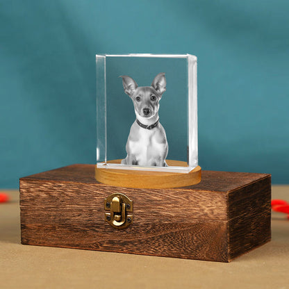 Personalized Pet Memorial Urn with Cube Crystal for Pet Loss - OARSE