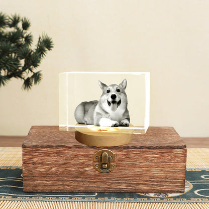 Personalized Pet Memorial Urn with Cube Crystal for Pet Loss - OARSE