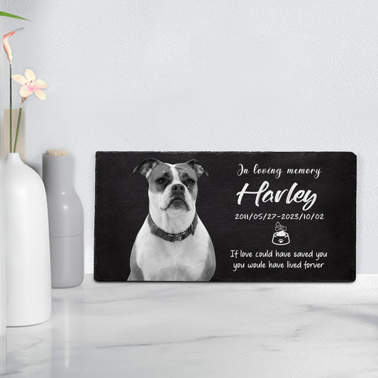 Personalized Pet Memorial Garden Stones with Photo for Dogs - OARSE