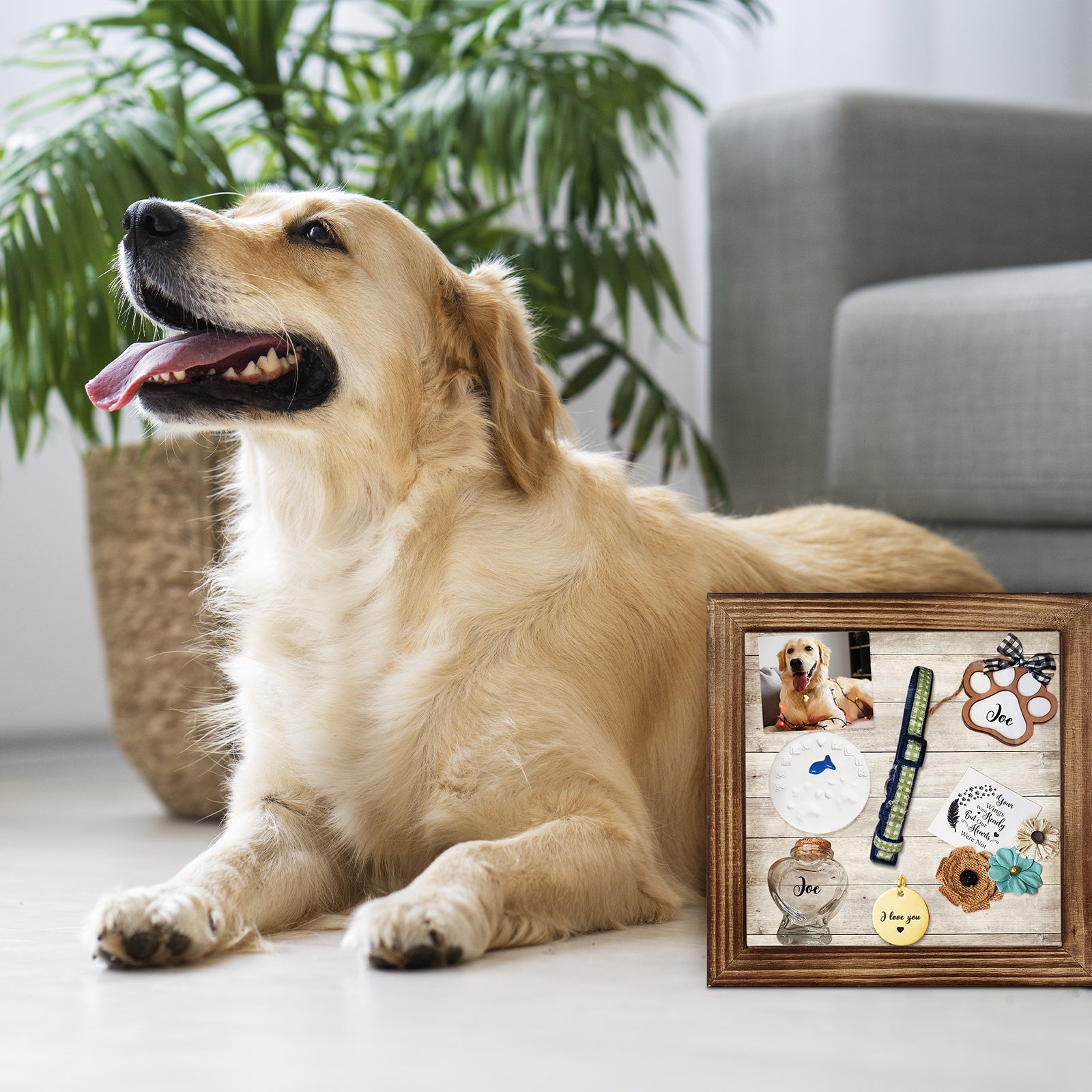Personalized Pet Memorial Shadow Box Frame for Dog Memories - OARSE