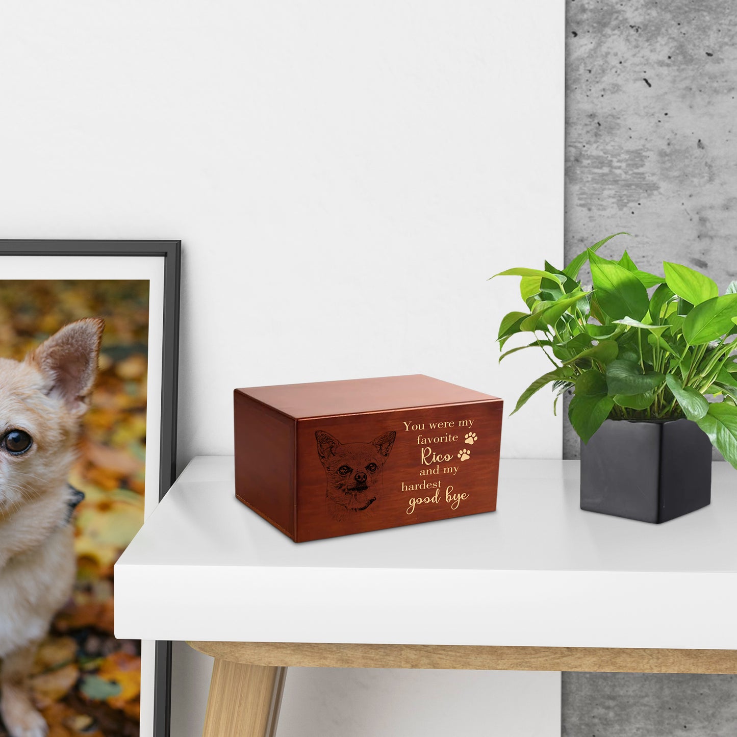 Personalized Photo Wooden Pet Urns For Ashes Box With Name Engraved - OARSE