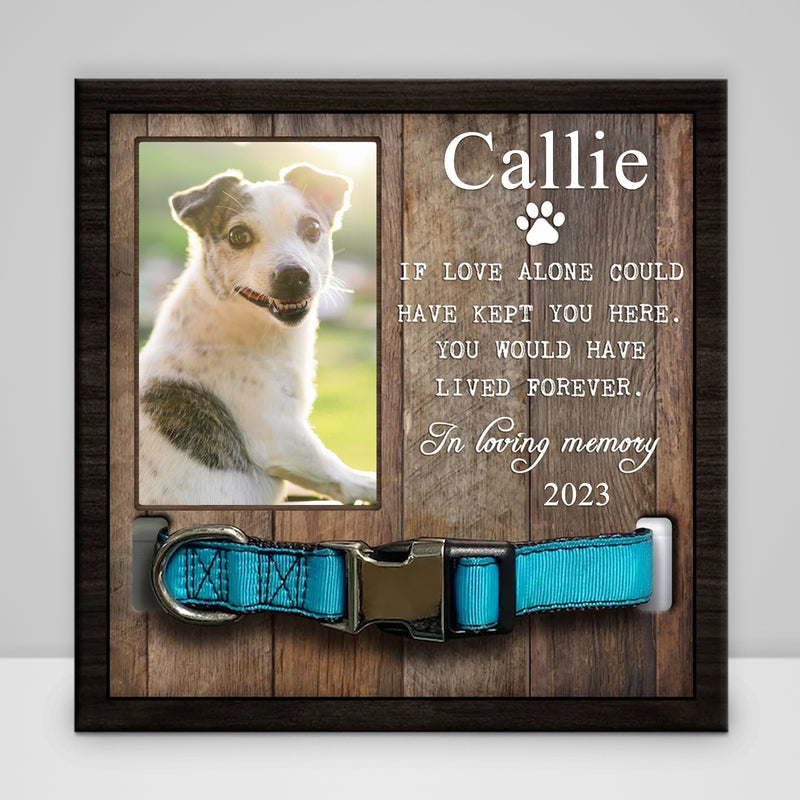 Pet Memorial Frame with Collar Personalized Dog Remembrance Gift - OARSE