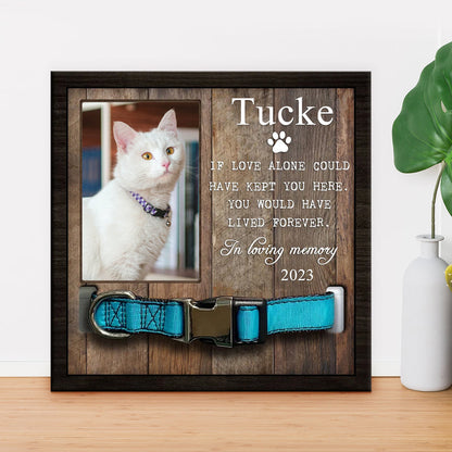Pet Memorial Frame with Collar Personalized Dog Remembrance Gift - OARSE