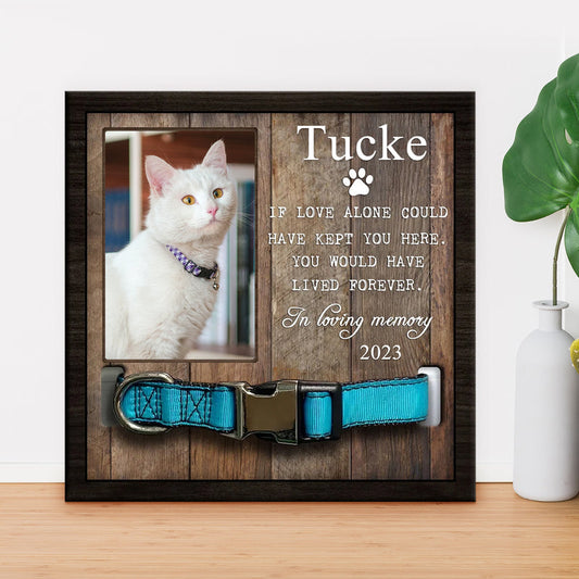 Pet Memorial Frame with Collar Personalized Dog Remembrance Gift - OARSE
