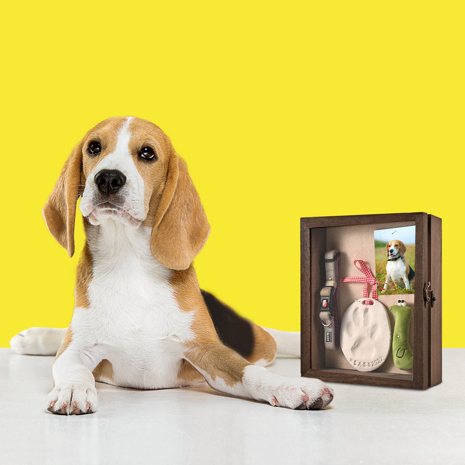 Pet Memorial Shadow Box Frame for Lost Pet Dog Remembrance Gift for Pet Lovers - OARSE