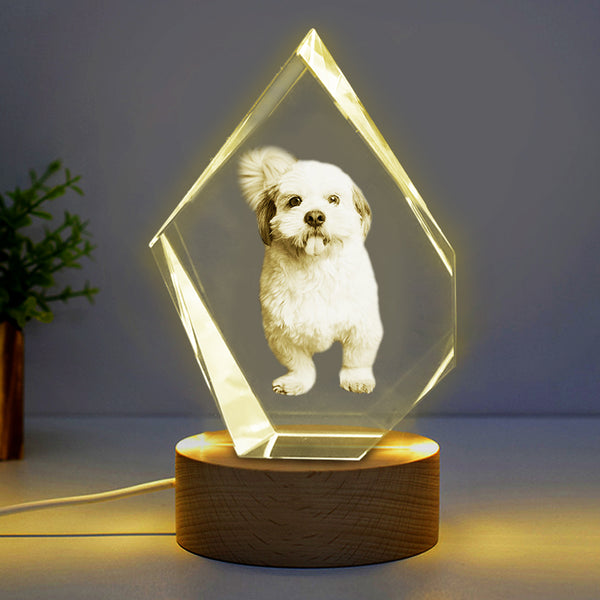 Personalized Pet 3d Crystal Photo Customized Prestige 3d Glass Picture Frames For Gift - OARSE
