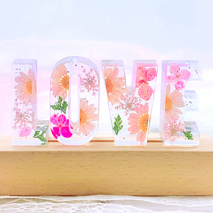 Custom Letter Led Lights, Daisy Night Light, Dried Flowers For Valentines, Christmas - Oarse