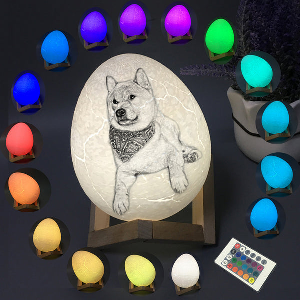 Custom 3D Printing Pet Photo Dinosaur Egg Moon Lamp - Oarse