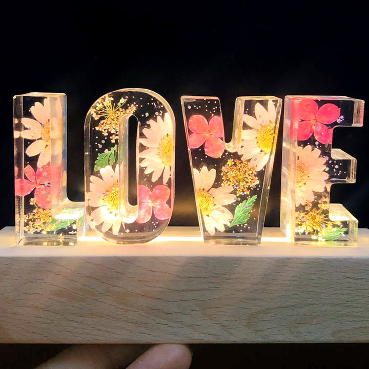 Custom Letter Led Lights, Daisy Night Light, Dried Flowers For Valentines, Christmas - Oarse