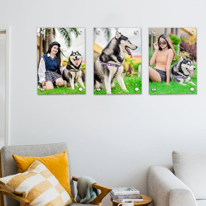 3 Panels Custom Pet Portrait Canvas with Original Photo Personalized Framed Wall Art Set - OARSE