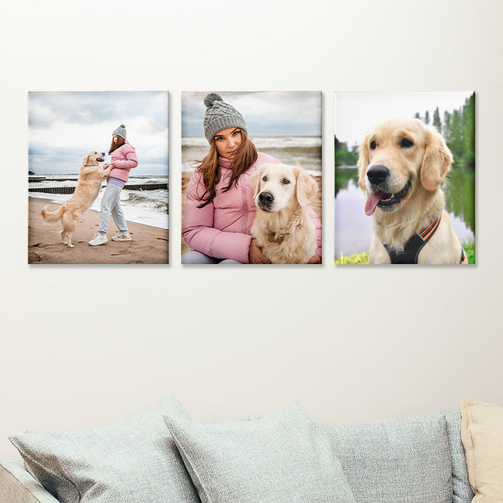 3 Panels Custom Pet Portrait Canvas with Original Photo Personalized Framed Wall Art Set - OARSE