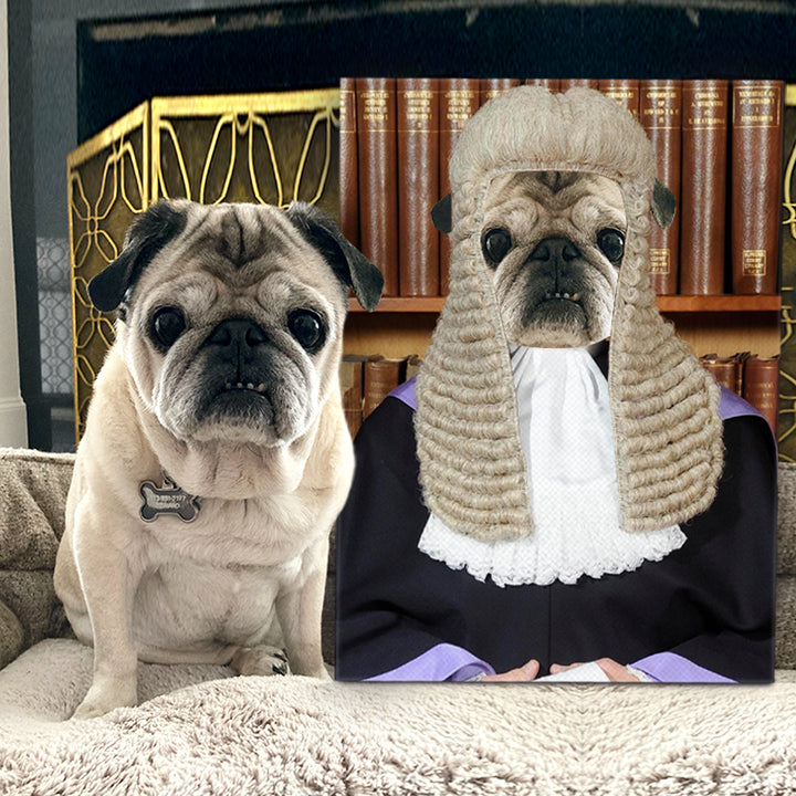 Personalized The Judge Pet Portrait - Oarse