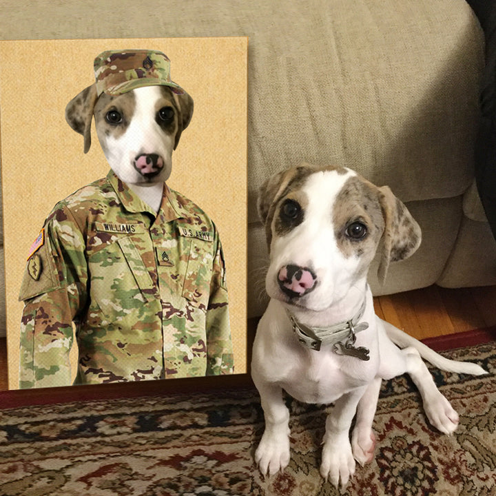 Custom Soldier Pet Portrait - Oarse