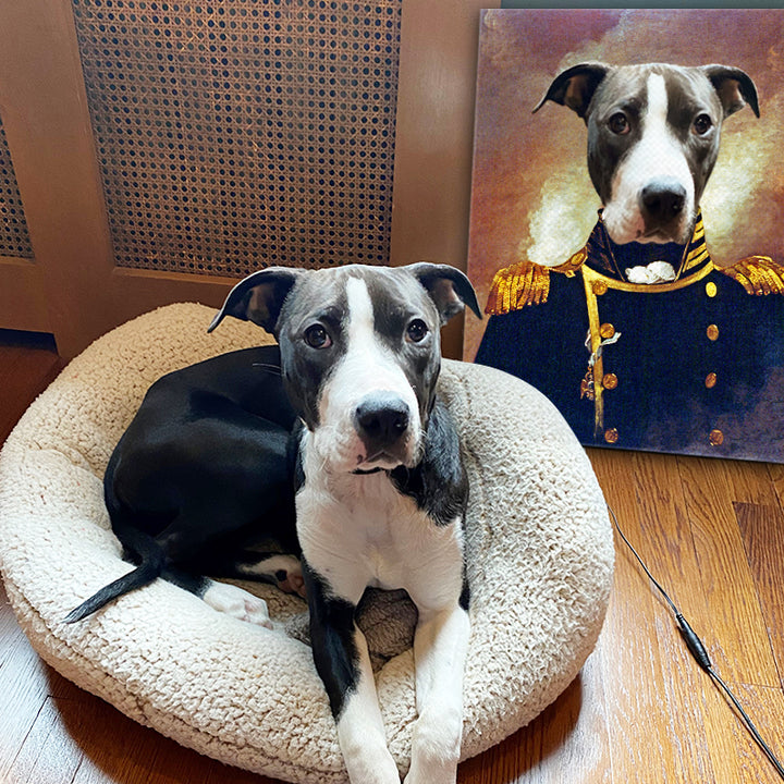 Custom The Admiral Pet Portrait Canvas - Oarse