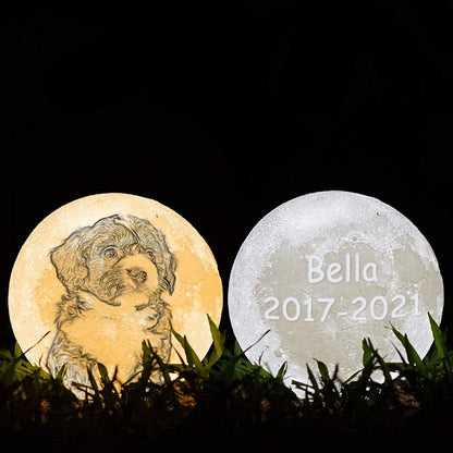 Custom 3D Pet Photo Engraved Moon Lamp 16 Colors - Oarse