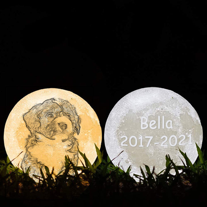 Custom 3D Pet Photo Engraved Moon Lamp 16 Colors - Oarse