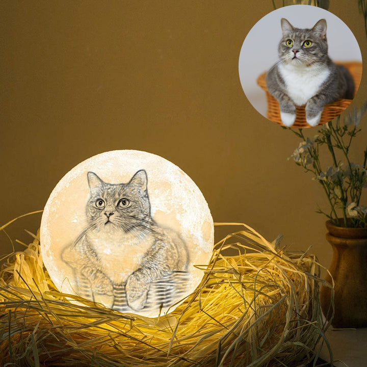 Custom 3D Pet Photo Engraved Moon Lamp 16 Colors - Oarse